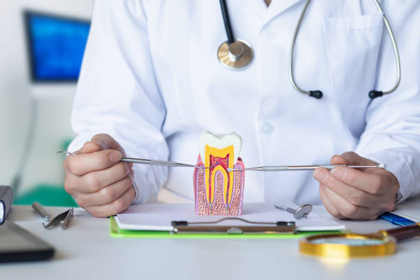 Best After-Hours Dental Trauma Care in Little Cypress, TX